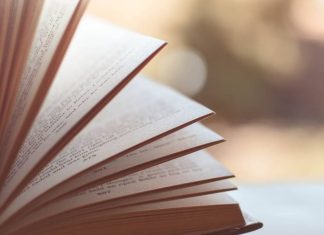 Valaha olvasó nemzet voltunk – mi történt velünk? könyv