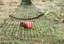 A kertészeti világ eszközei lombseprű